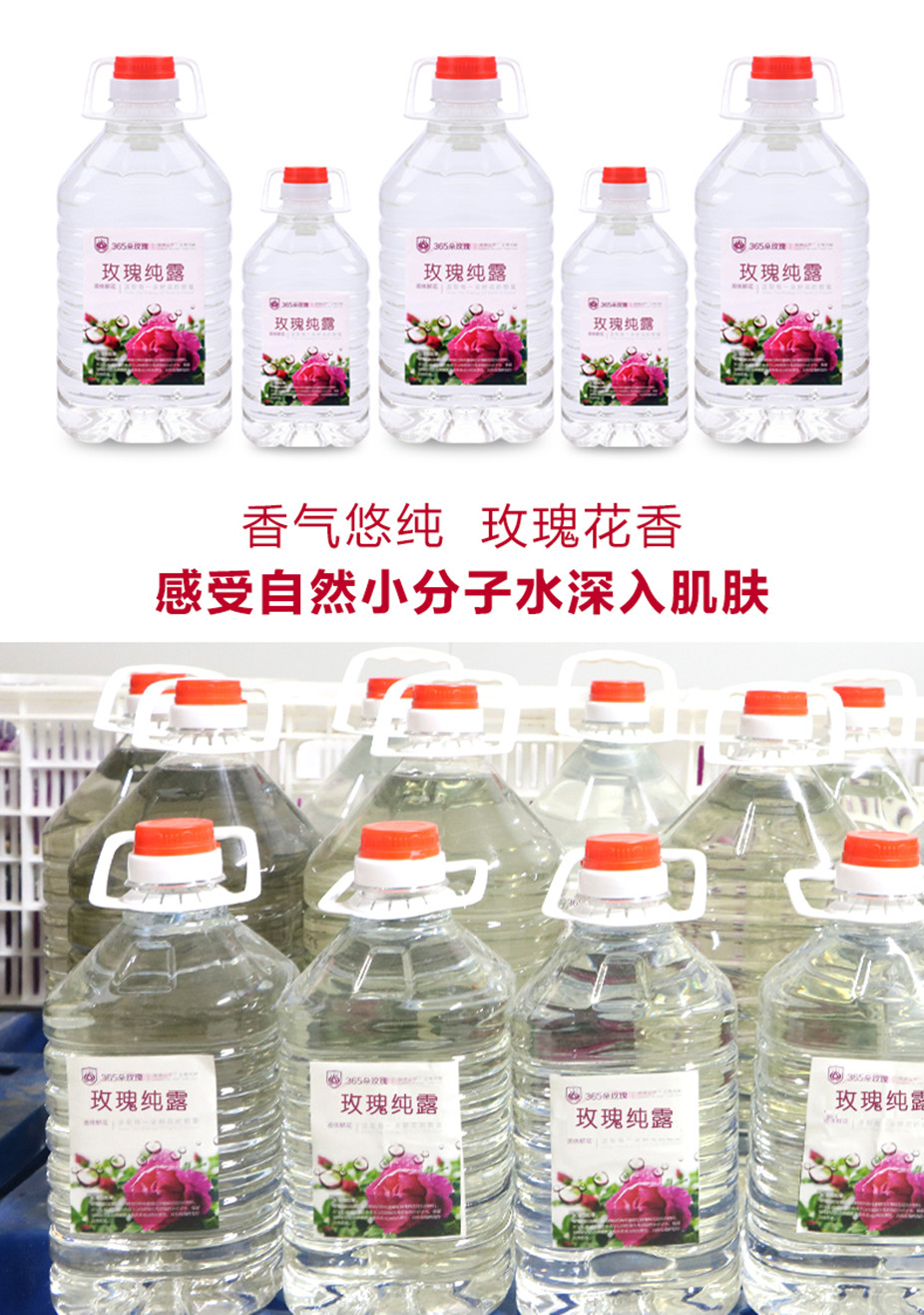 大纯露_05_副本.jpg