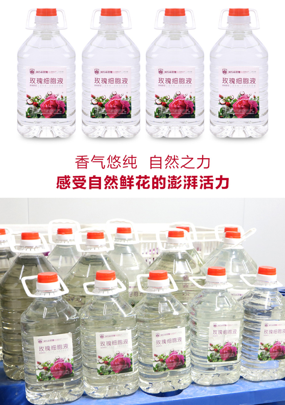 大细胞液_05_副本.jpg