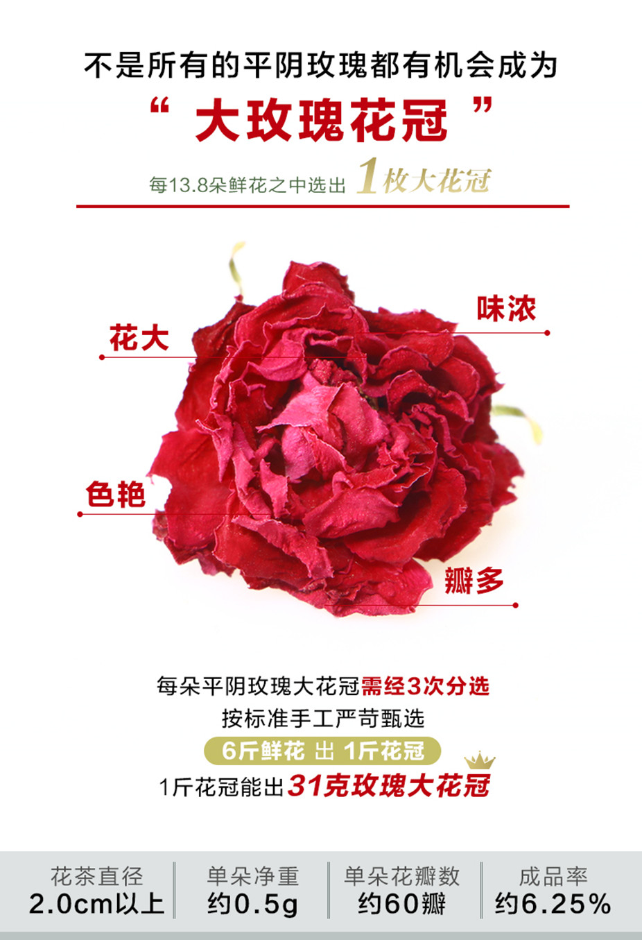 大花冠_副本.jpg