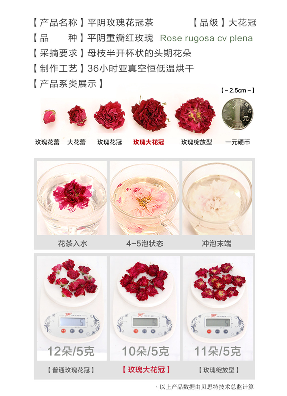 大花冠2_副本.jpg
